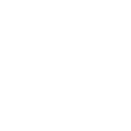 icon2-1