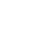 icon2-1
